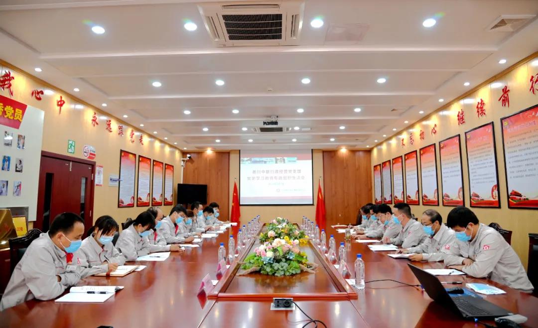 淅川中联行政经营党支部召开党史学习教育专题组织生活会